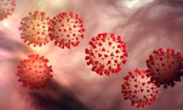 India Reports 29,398 New Cases; Delhi Sees Lowest Rise Since Sept 1